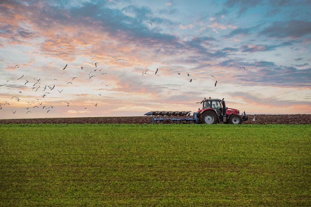  Expert-comptable à Nîmes, agriculteur